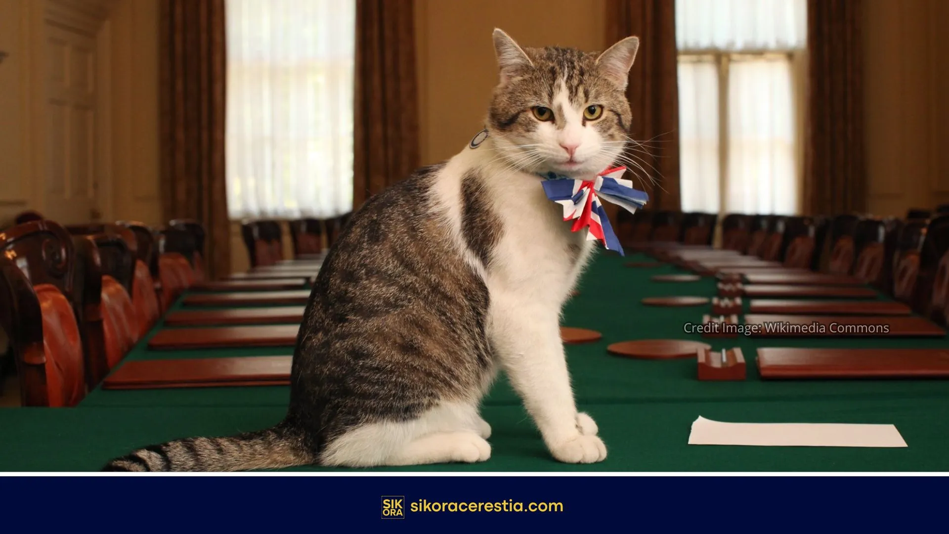 Larry The Cat: Kucing Kepala Pemburu Tikus Kabinet di Downing Street yang Bertahan Selama Era 6 Perdana Menteri